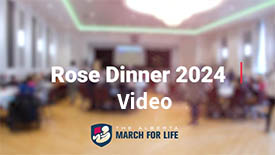 rose video thumb